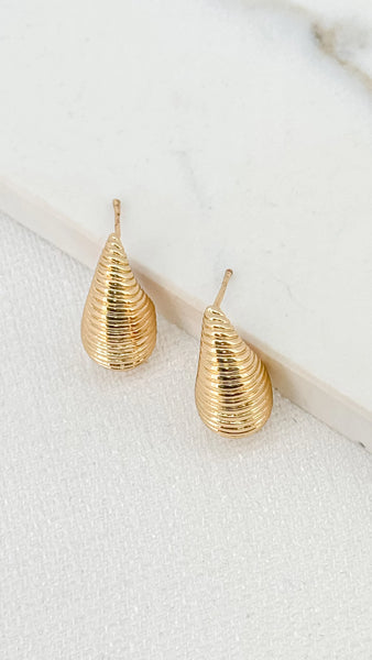 Envy Women’s Jewellery Earrings | 4048/GD/E/D